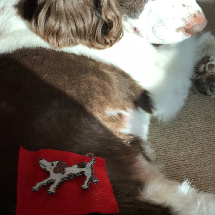 33afa969 94f8 454d b563 a0f83d66ec2e 1512386722379