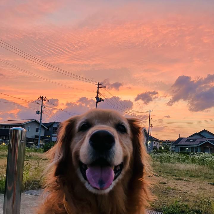 33afc899 39fd 42a3 a491 458595f064a0 1719317391753