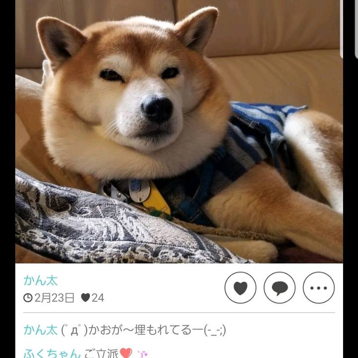 33b01278 a8fd 46f0 92ad 9cd2816f12e9 1572774299454