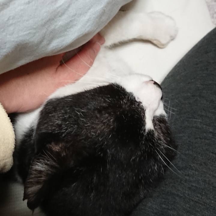 33b05528 d9a8 476b 967f a8db435d0bce 1673137382215