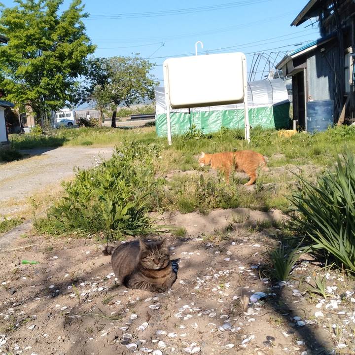 33b09208 22e8 4367 aa08 b778c7fa0b68 1714635357488