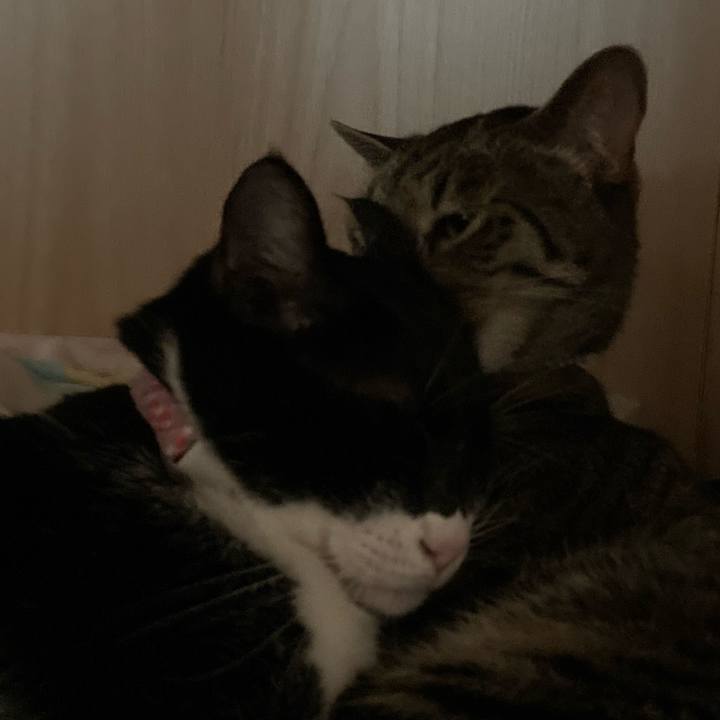 33b0a648 d352 41ce 83f6 fdb33c877993 1622010554975