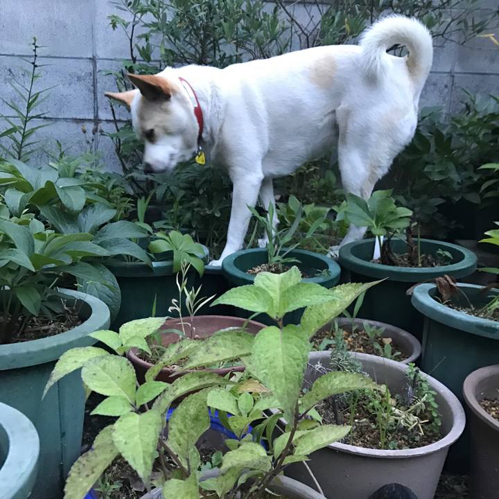 33b0edfc c8cd 4b80 b6d3 87f366b775c0 1560772081503