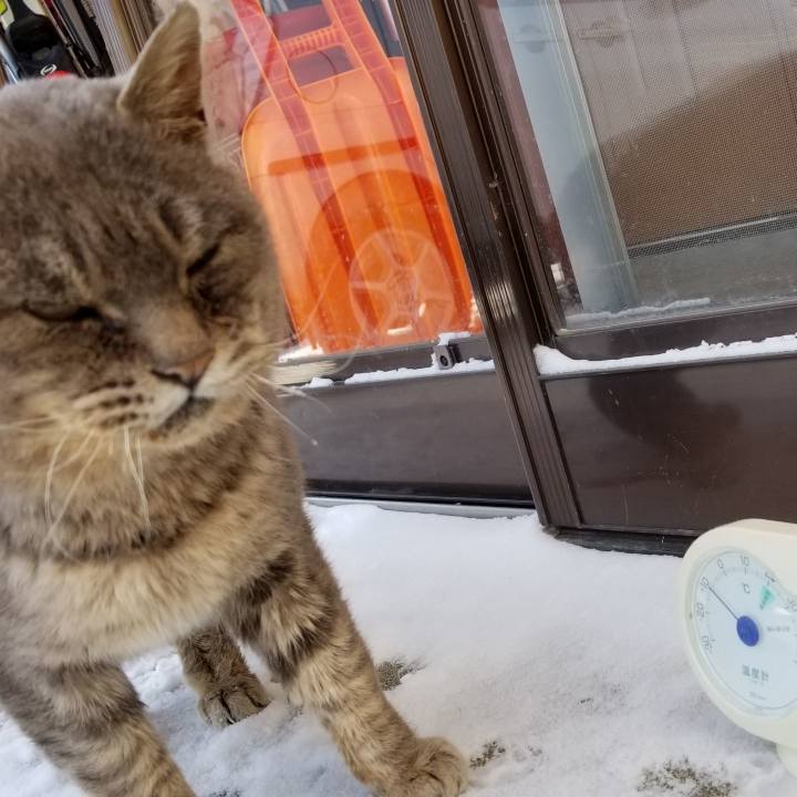 33b125cc 34f8 4786 a657 ac7b472a444a 1549707359865