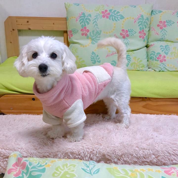 33b155d2 199b 416e bdd1 bf0258b17fba 1548900320855