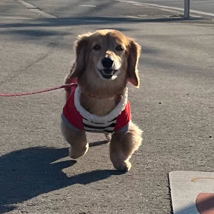 33b18096 0206 4042 8a5b 1030b51fe4ba 1642318204921