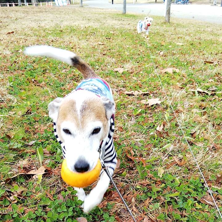 33b1857f e7b8 4845 8b5e 8d1de0bef546 1576906788735