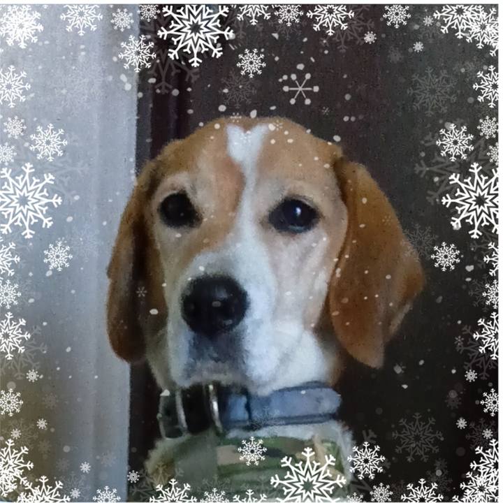 33b1b275 6806 48b2 b0e3 7b2556247706 1735623502703