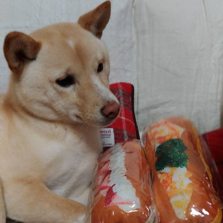 33b1d304 6937 422c a0cd 7887f213b78e 1515151464399