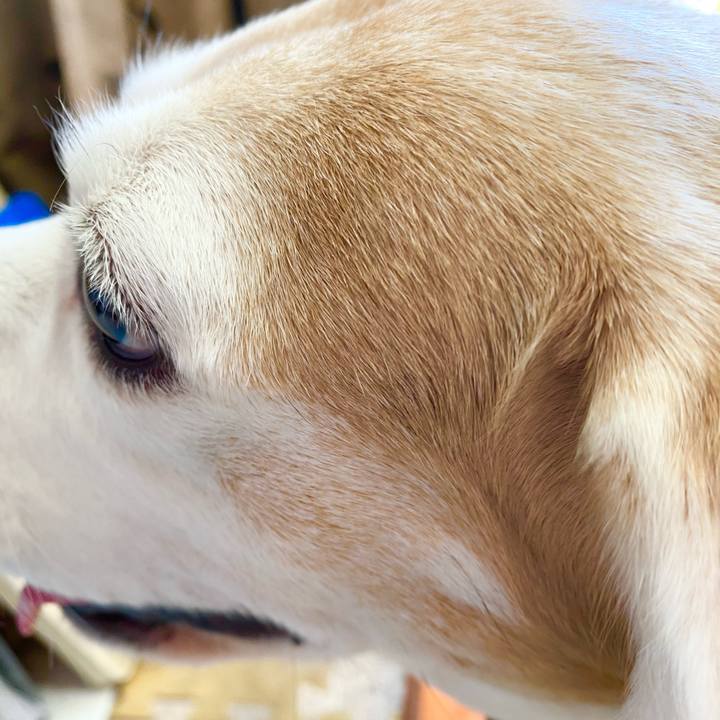 33b21e26 4be3 4c82 92b4 4c2078df82a8 1612585246550