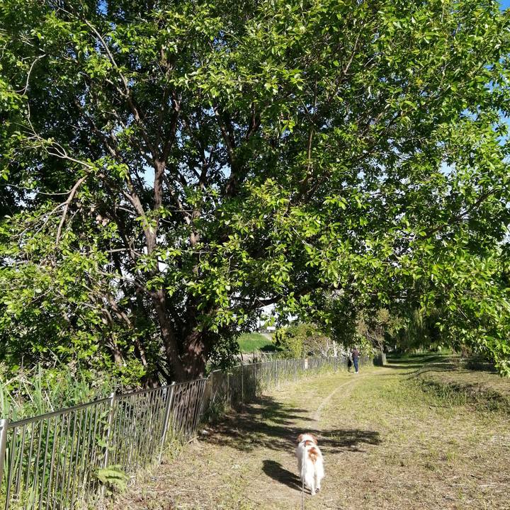 33b22f76 e682 427b ba2d c5dce9fd6a8b 1619481780478