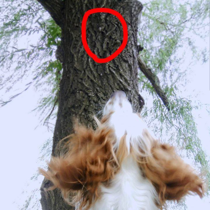 33b28e03 8a8b 488c be23 5e5518195c8d 1563856142367