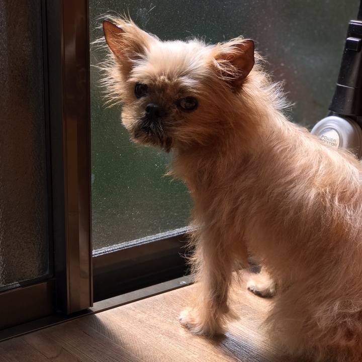 33b2abd1 f197 4e30 87f7 d52c859f03b9 1560470565219