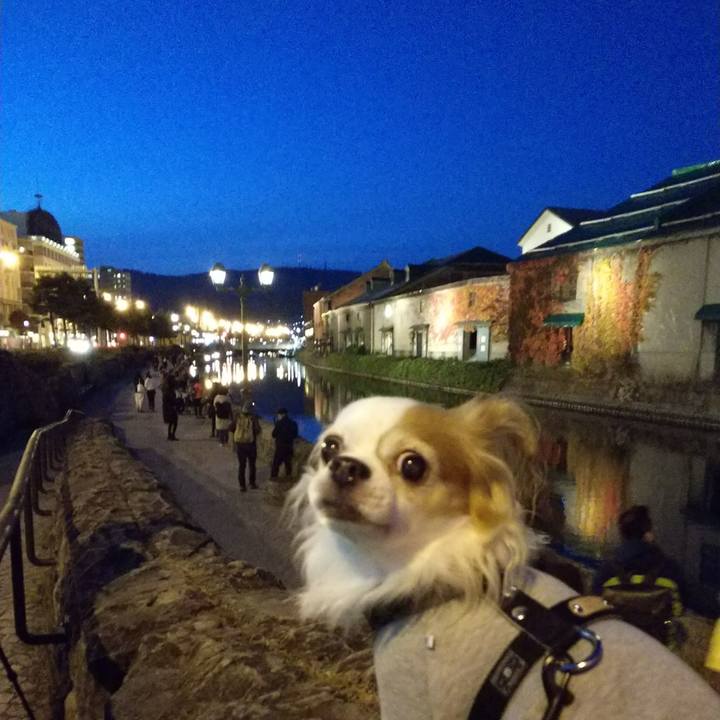 33b2bacf e277 47d5 8e7c 2a5f4963137b 1509007276477