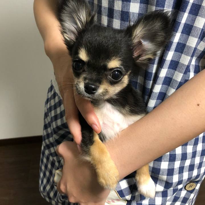 33b2ce9e 3523 4bfb b3a6 6167301497c5 1536100158318