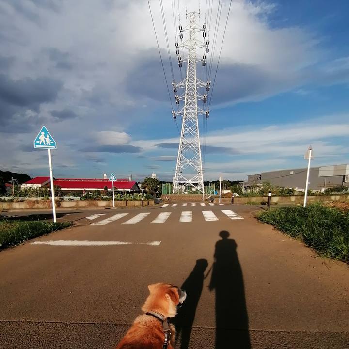 33b30a08 d1e4 4b01 b1b8 d65884cbe885 1600424055853