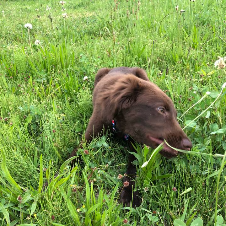 33b33d04 cc55 442d 81ae 90c6b0b448c5 1557351928000