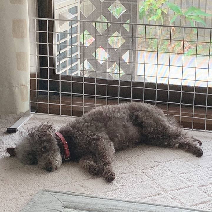 33b34133 3caf 4c8c aa1f 2b7ec0fd1aa5 1658878531034