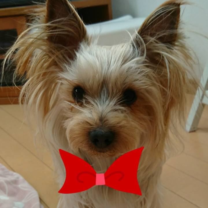 33b38054 b152 449d 8345 635aa838c2bc 1552437959204