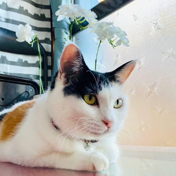 33b38c1c b2b8 4510 abd2 094a4e04726d 1691101607156