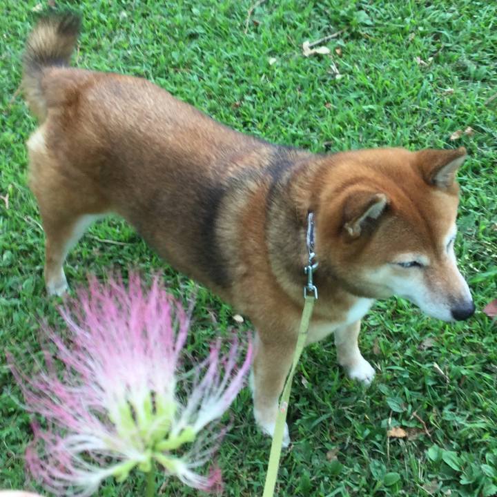 33b3949e 3b1d 4864 856d 17ed7072eb29 1568353350307