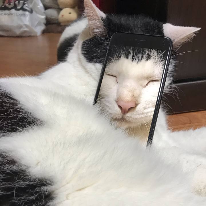 33b3c614 2094 4a25 a1e3 696d00755712 1591663408931