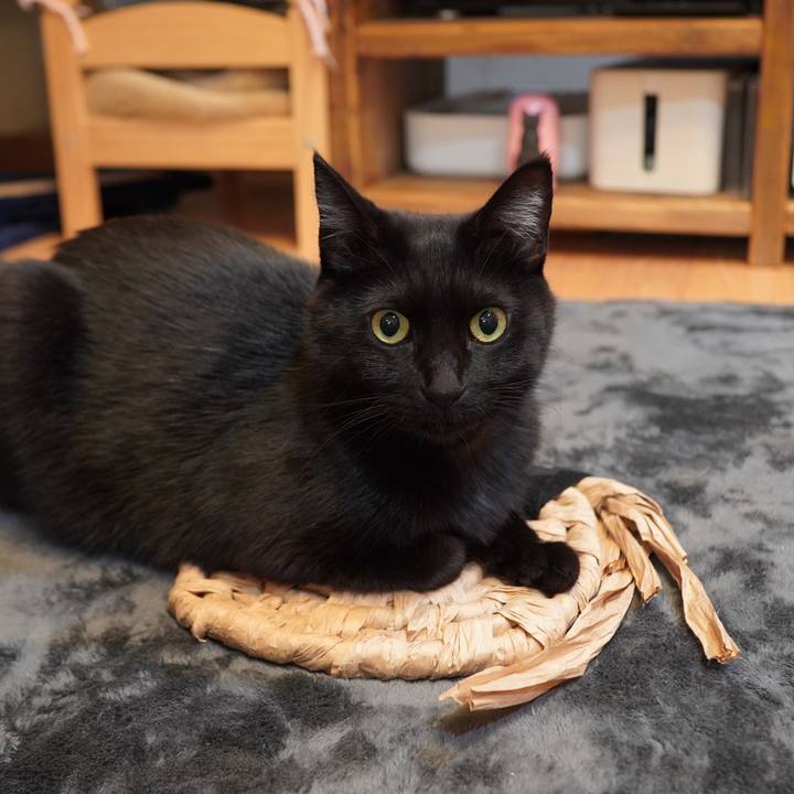 33b3c92c 9eb0 4cc9 96d3 1574dcc42e27 1608474824123