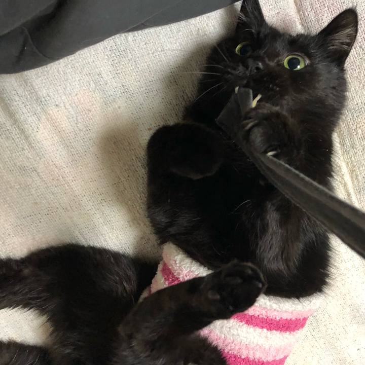 33b47e0b 7d14 4a36 92d4 7a0889d37bdf 1610544872202