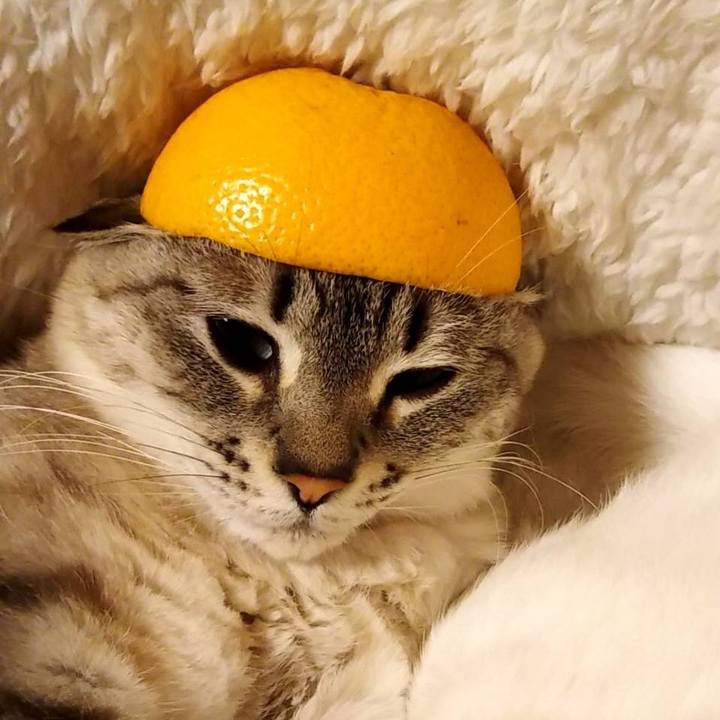 33b49b33 4ec5 4d16 8b04 11bc3de8f58c 1613393512097