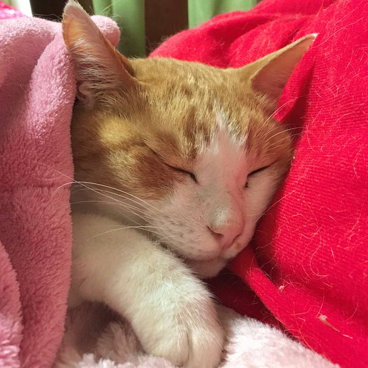 33b4a0bf a13b 4b48 8c3d af959d173706 1572330031692