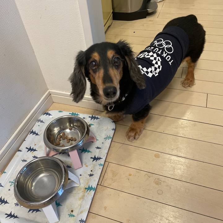 33b4c48b 4853 42d6 9fbf 63ab2853e052 1630714342444