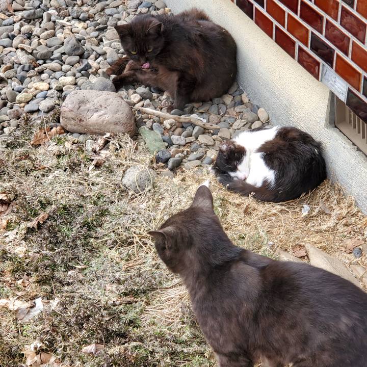 33b4d214 2f48 4d24 992d d4a7f6dc8ed0 1713236373586