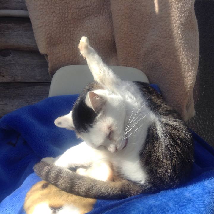 33b4df1a 13a9 4d16 98ac 0a934a57b2c1 1546242472269