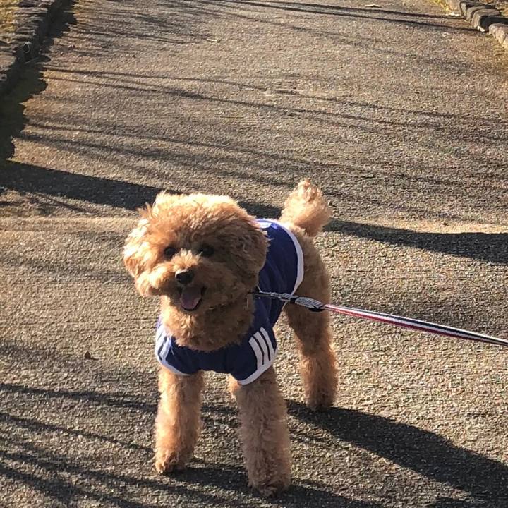 33b4f975 4673 4149 8adc 88740c291dcf 1578880963860