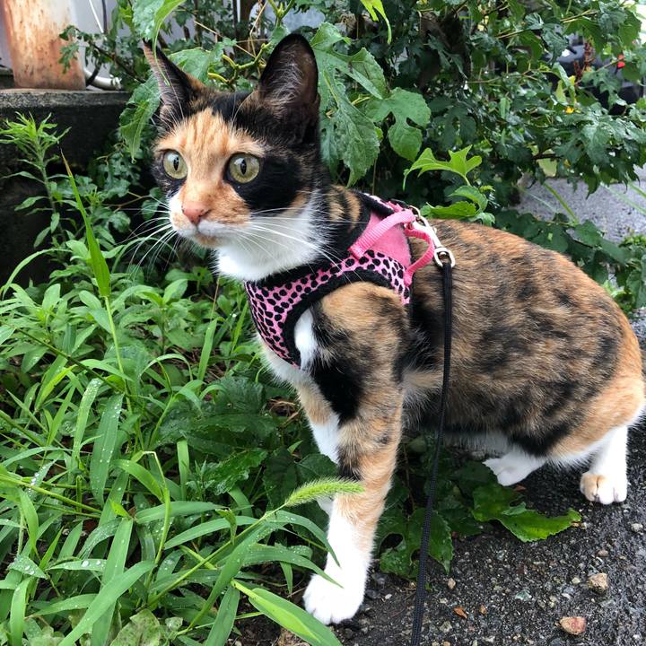 33b5240f bfe5 4310 b6dd a7e767589456 1530849409578