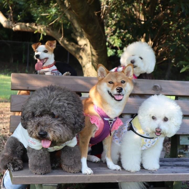 33b552ab a6b8 4139 8a87 397c55291ead 1632391811165