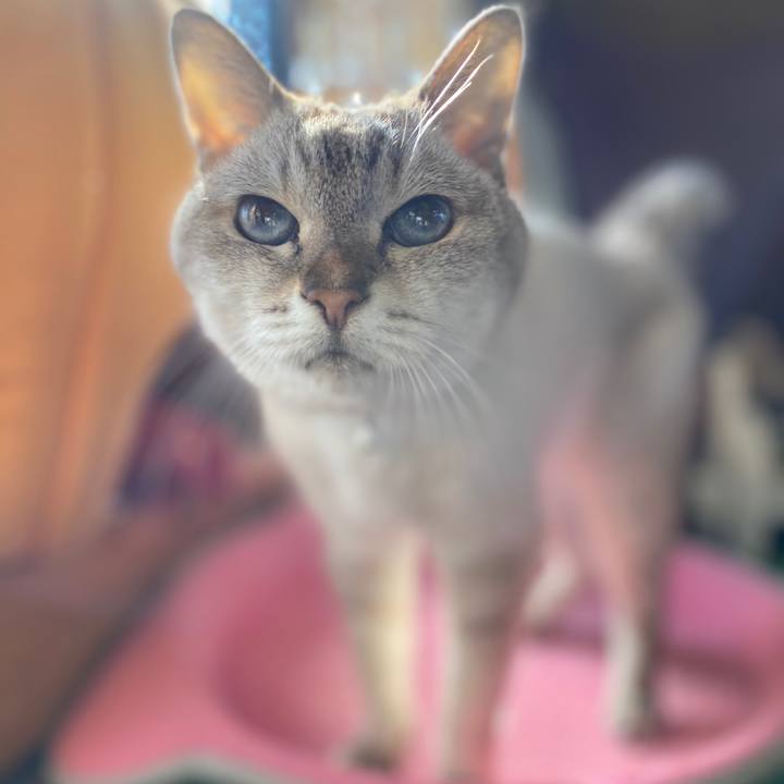 33b55d17 309b 495d aabe 10707b52c7d1 1604555696578