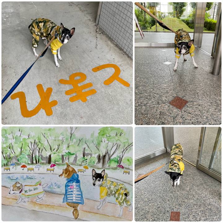 33b55d9c ef5e 417f 8b04 4f20bcb0b5de 1623793490938