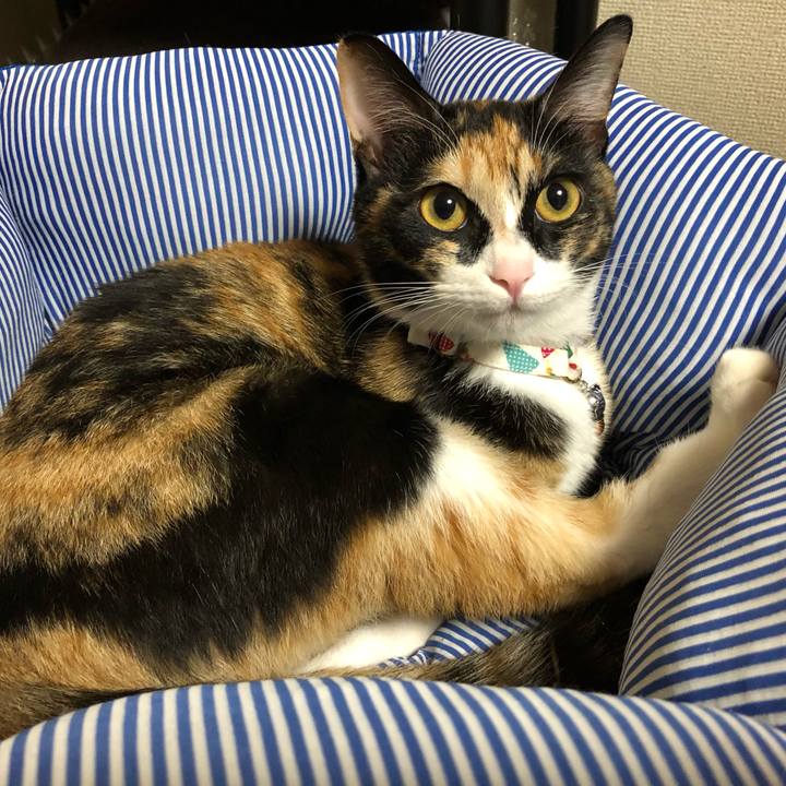 33b569dd b216 4a9a bfd5 1e460b13de84 1563706843551