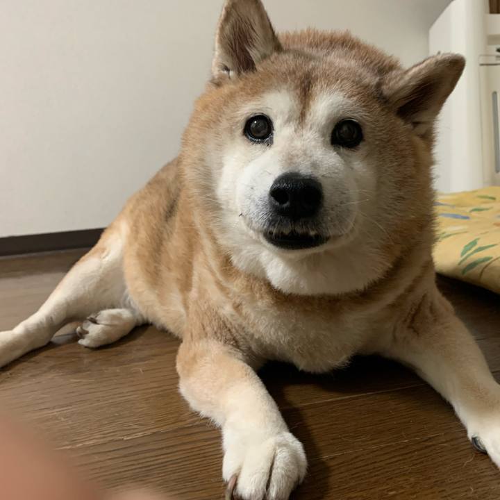 33b56d76 0e85 439b a05a 8e50441d5d37 1625575726064