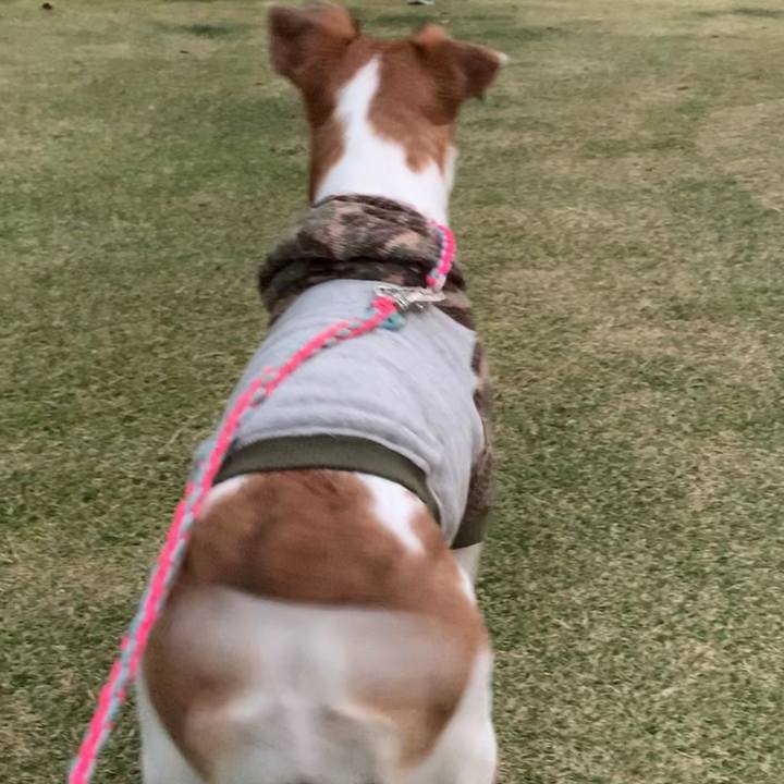 33b5bbe5 697a 4f30 8ee7 1a18a777838a 1543064872813