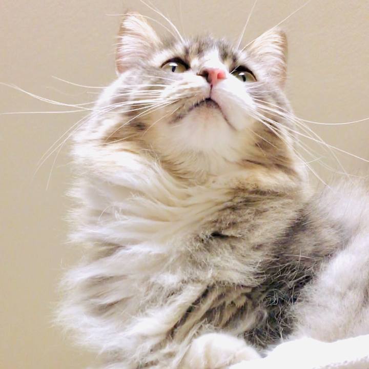 33b5d4b7 3510 4b3d 896c 64060a43757c 1551806692485