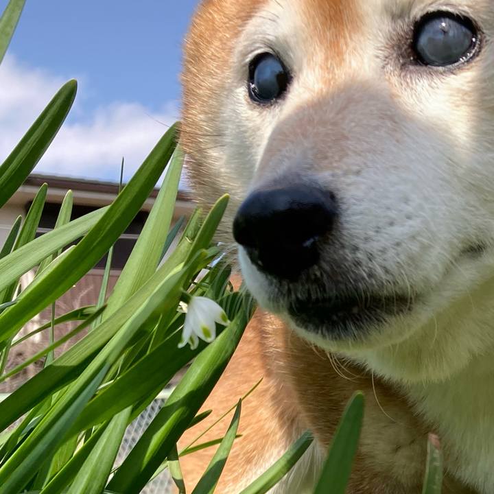 33b5f587 61b5 41b3 a4fc 727af3a67286 1710652609168