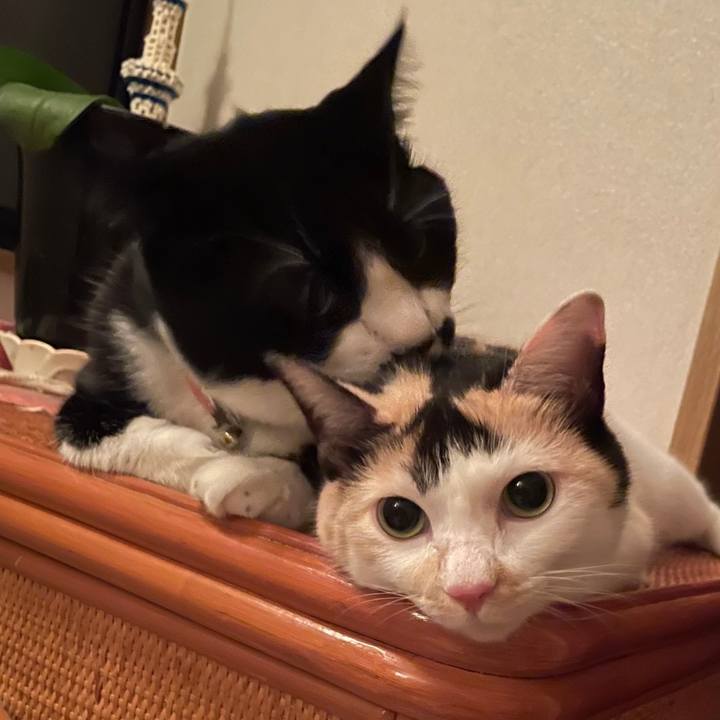 33b5fa9b 0c2b 49fb ada5 1499801e08ed 1692320011991