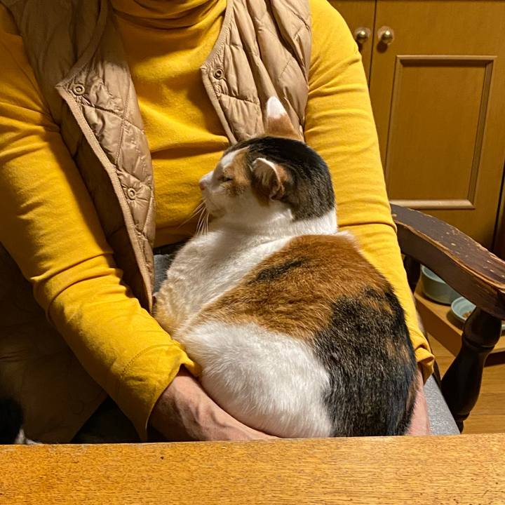 33b65634 4242 4577 943d e8f66397e447 1769857531275