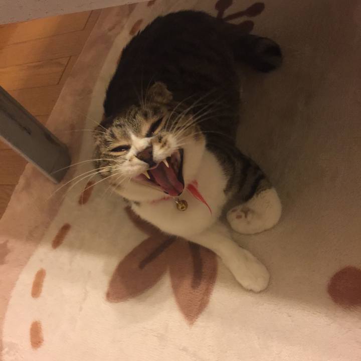 33b669c1 d9b7 44e0 8a49 f37215de9663 1556118736064