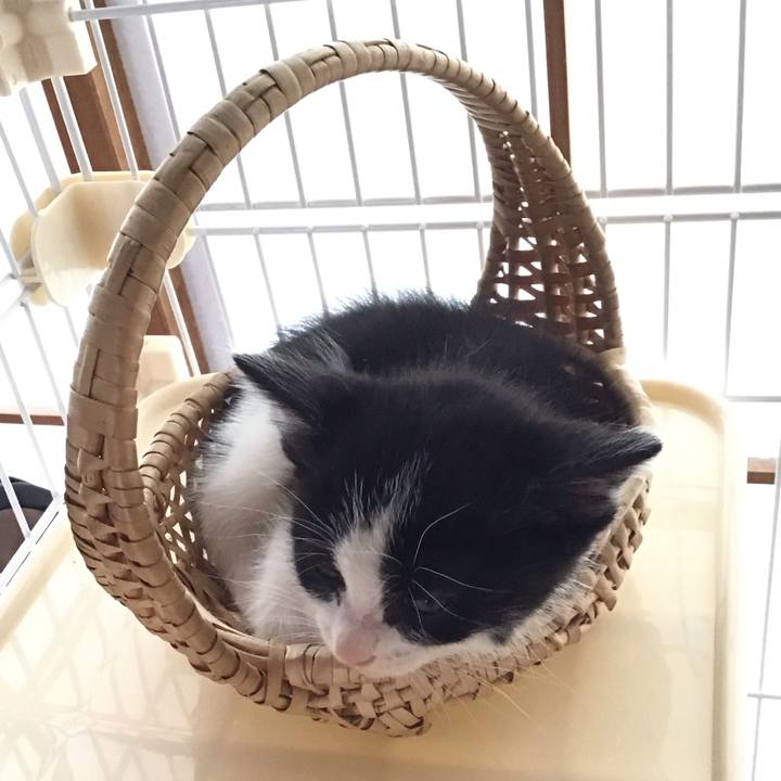 33b6ff03 7a55 4ba5 92b6 bb0a0702ae8d 1714449405603