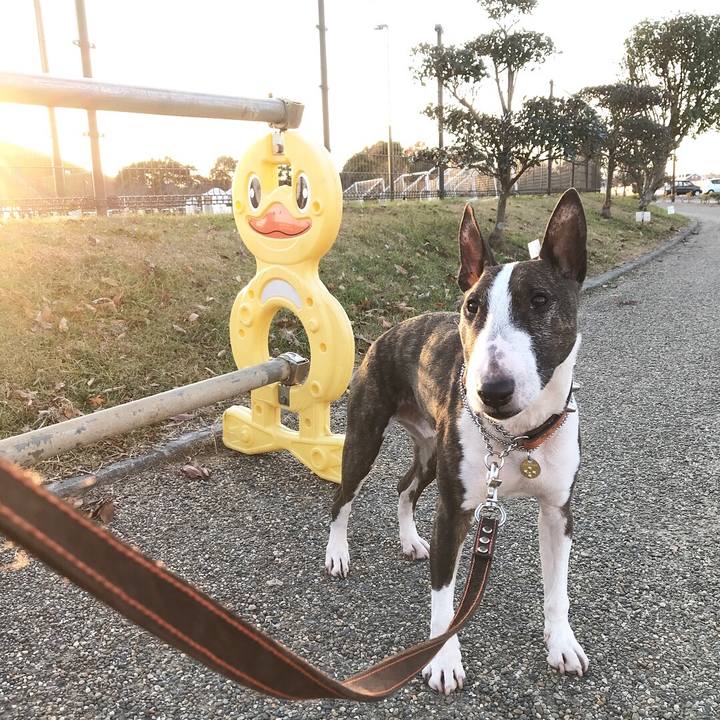 33b754f4 17ab 4cc1 8cab 7f896366b77a 1512198899753