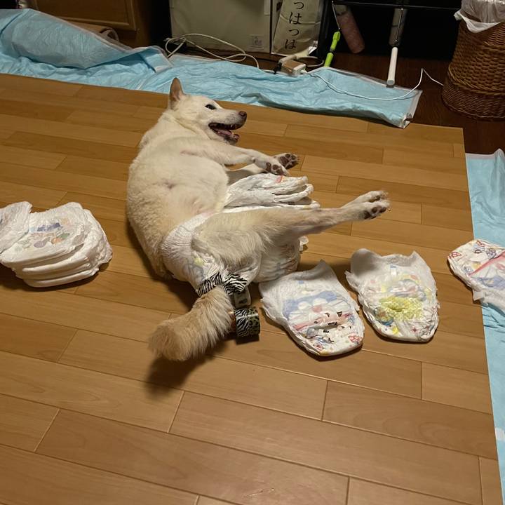 33b77fd2 2c64 4190 906d 01b604892eb8 1663438768637