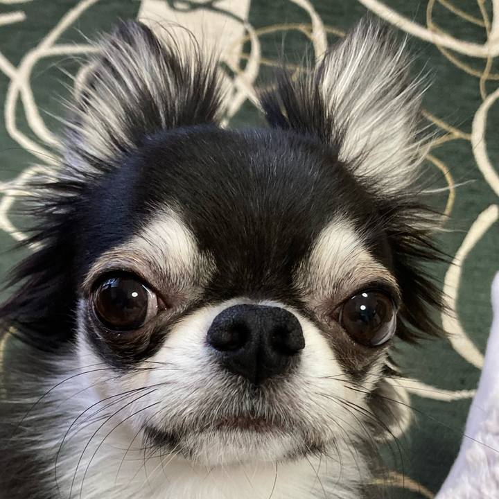 33b79f36 10b4 4130 b8a2 54d92b48b923 1643412894302